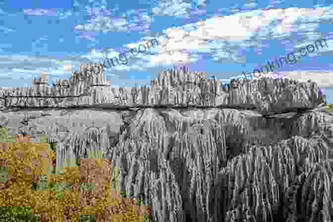 A Breathtaking View Of Madagascar's Tsingy De Bemaraha National Park, Featuring Towering Limestone Formations And Lush Vegetation. Madagascar (Country Explorers) Rick Riordan