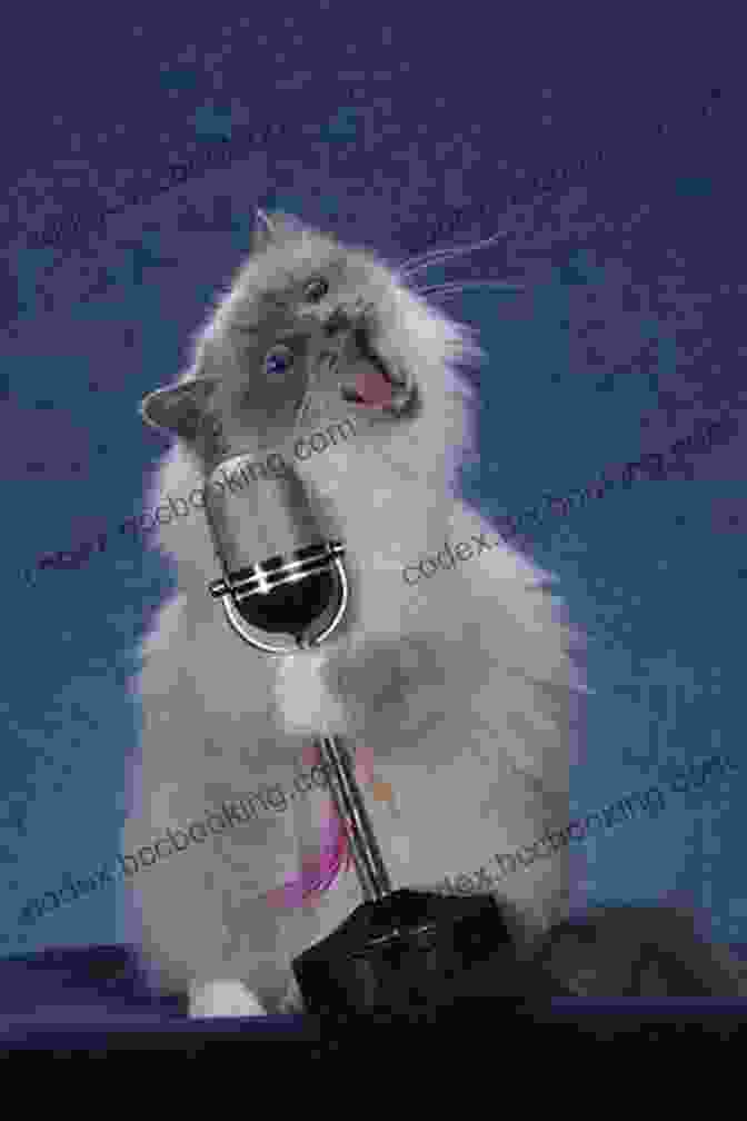 A Cat Sitting On A Piano, Singing Into A Microphone The Cat Who Loved To Sing