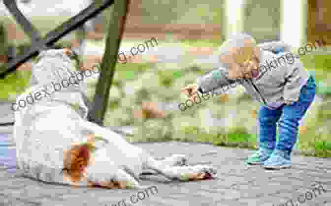 A Child Pointing At A Dog And Saying The Verbal Behavior Approach: How To Teach Children With Autism And Related DisFree Downloads