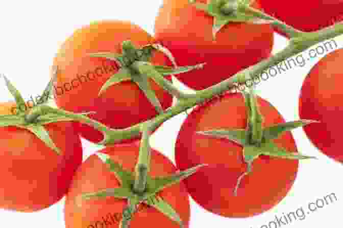 A Close Up Of A Ripe Tomato On The Vine. Explore Fresh Garden Recipes In SOUTHERN: 130 Homegrown Favorites
