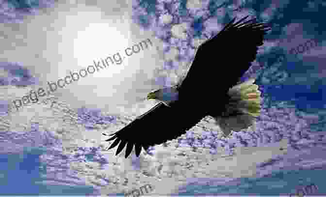 A Majestic Eagle Soaring Through The Sky Legends Of The Sky Liz Flanagan