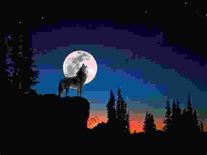 A Majestic Wolf Howling At The Moon Under A Starry Night Sky. The Wisdom Of Wolves: How Wolves Can Teach Us To Be More Human