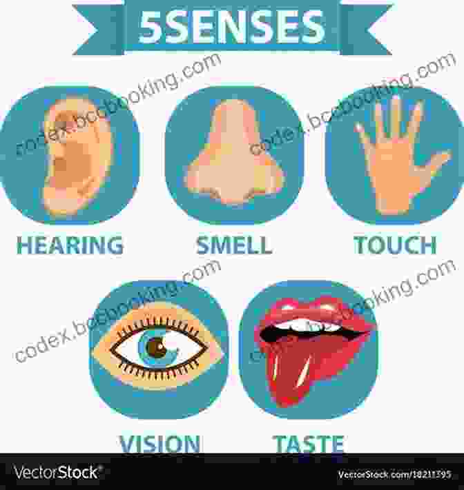 A Person Exploring Their Senses Through Touch, Taste, Sight, Hearing, And Smell Come To Your Senses: Demystifying The Mind Body Connection