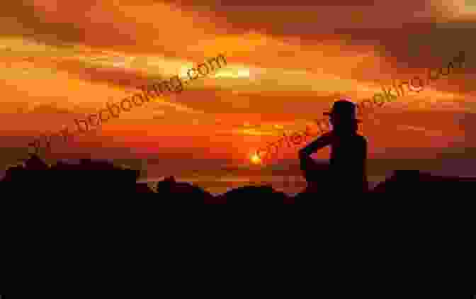A Person Gazing At A Beautiful Sunset Come To Your Senses: Demystifying The Mind Body Connection