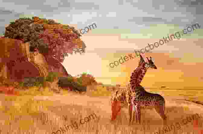 A Stunning Landscape Of The African Savanna With A White Giraffe In The Foreground The White Giraffe Lauren St John