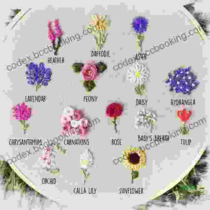A Vibrant Embroidered Floral Sampler Featuring Various Flowers In Full Bloom Paint With Thread: A Step By Step Guide To Embroidery Through The Seasons