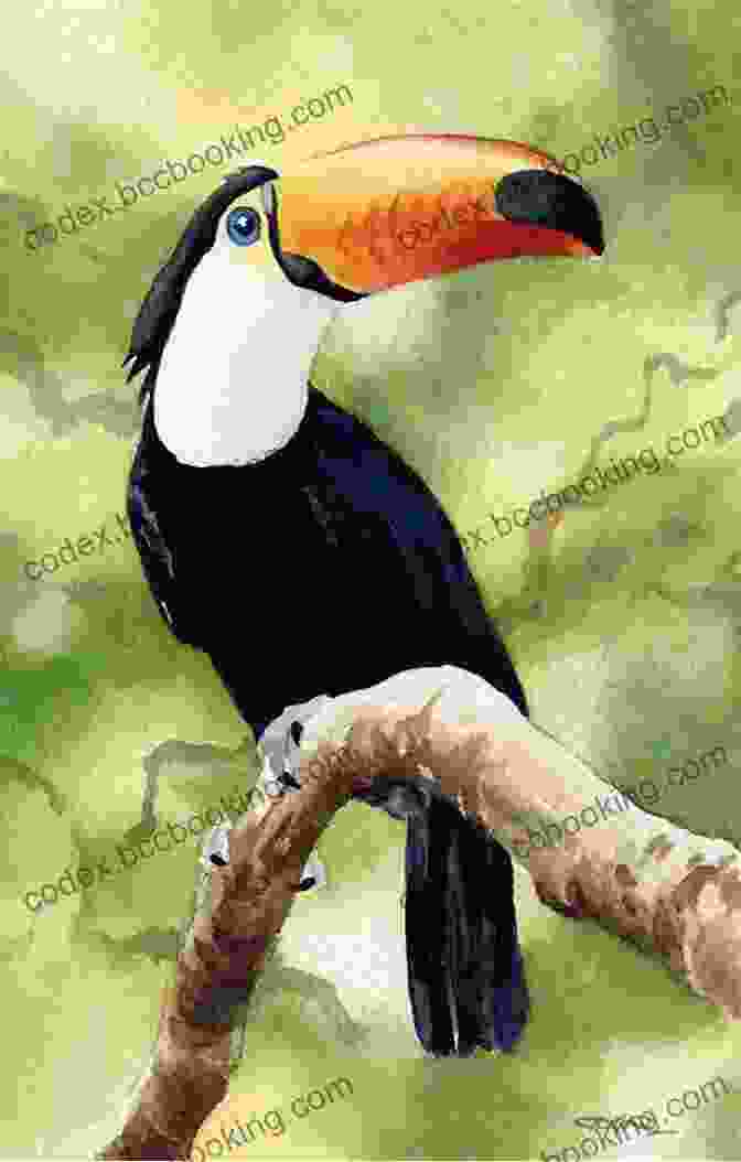 A Watercolor Painting Of A Toucan Learn How To Paint Rainforest Animals In Watercolor For The Beginner (Learn To Draw 18)