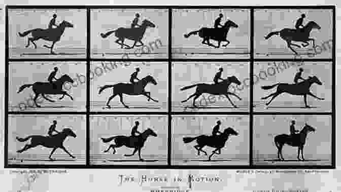 An Early Film Camera, Capturing The Movement Of A Horse Action : How Movies Began Meghan McCarthy