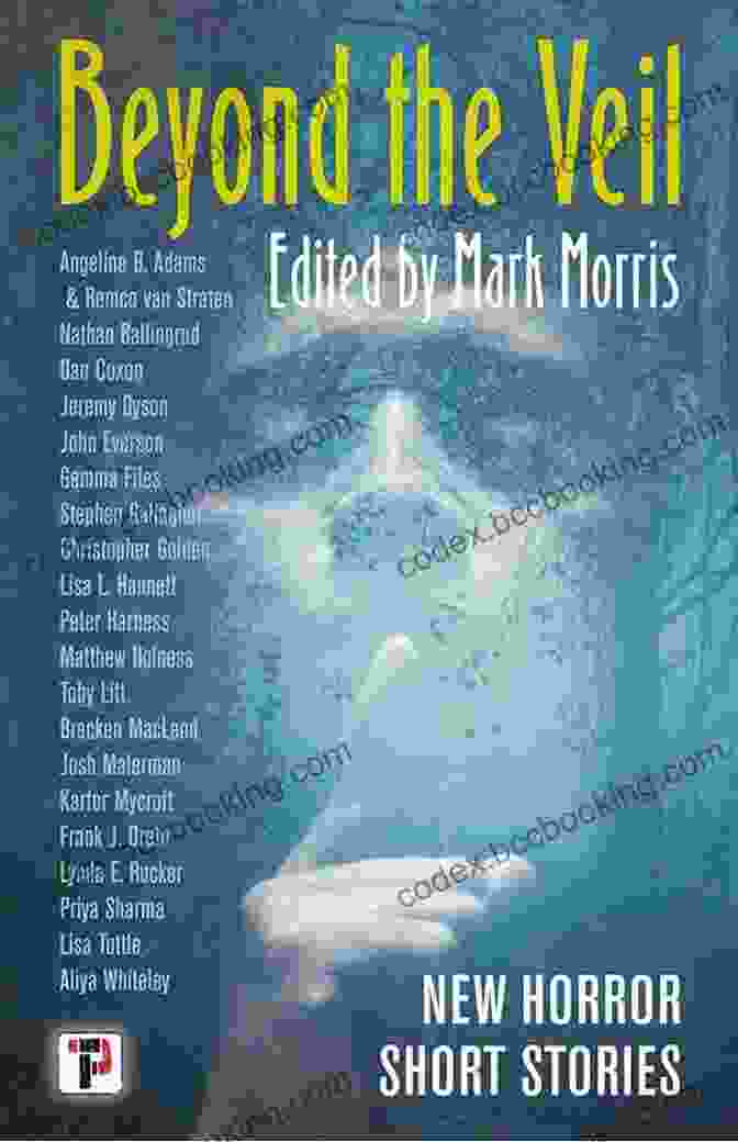 Beyond The Veil Book Cover Beyond The Veil Robert B Marcus Jr