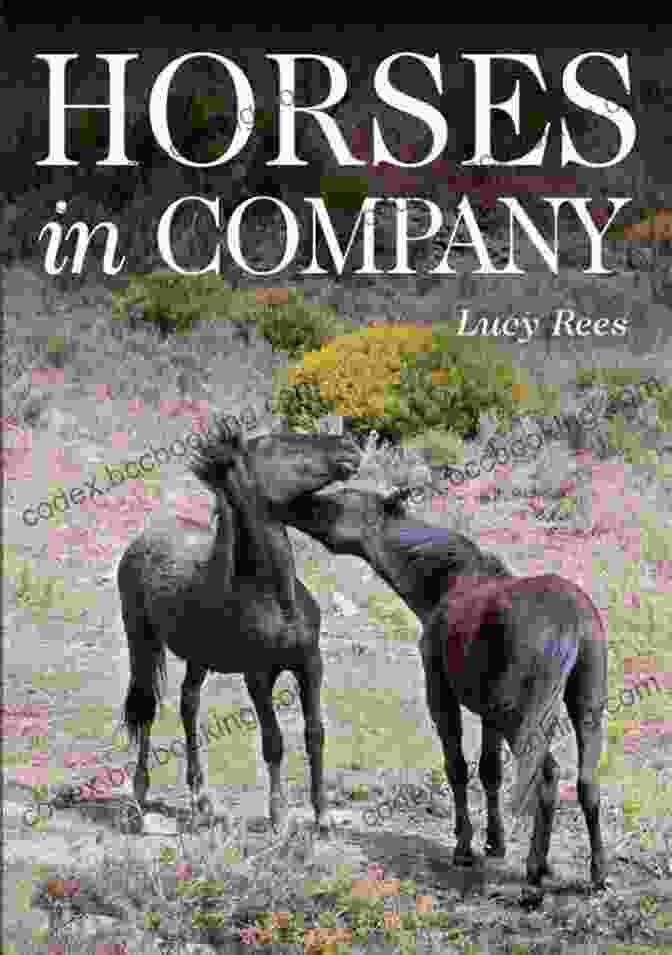 Book Cover Of Horses In Company By Lucy Rees Horses In Company Lucy Rees