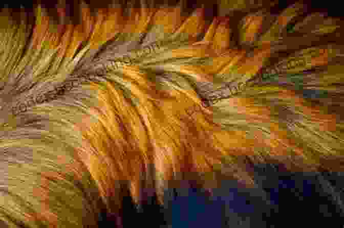 Close Up Of Airbrushed Fur Texture Learn How To Airbrush Animals For The Beginner