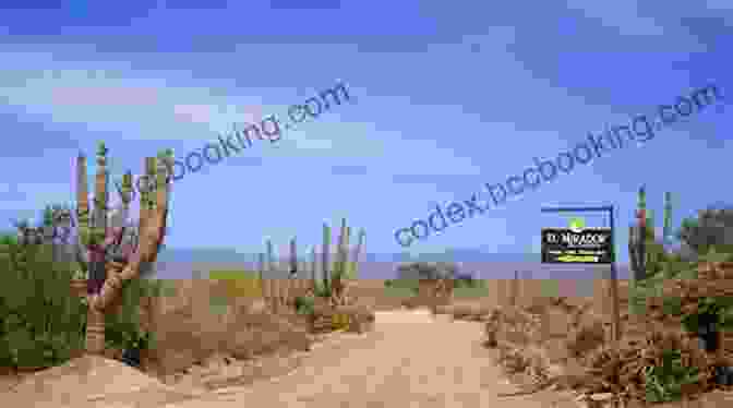 Desert Landscape In La Paz Todos Santos Moon Los Cabos: With La Paz Todos Santos (Travel Guide)