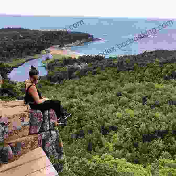 Emily Carter Hiking In The Maine National Park Death In Acadia: And Other Misadventures In Maine S National Park (Dear Earthling)