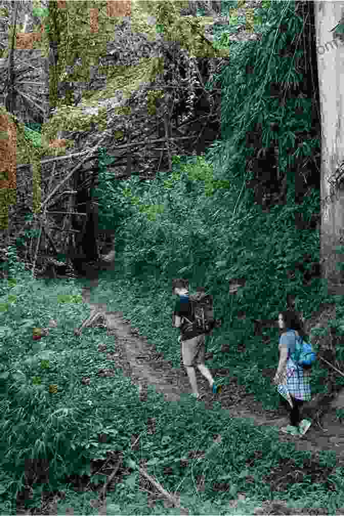 Hikers Exploring A Lush Forest Path Along The Seacoast Of New Hampshire Seacoast Hikes And Nature Walks: Volume 1