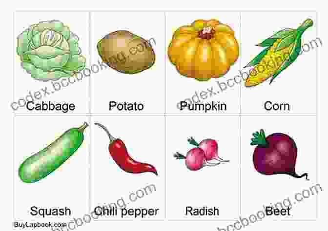 Kids Excited To Learn About Vegetables Using Flash Cards Vegetables Flash Cards For Kids (Vol 3): Flashcards Different Vegetable (Real Picture) For Kid And Preschool To Learning Skill Development