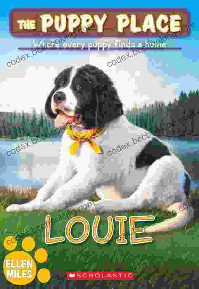 Louie The Puppy Place 51 Book Cover Featuring A Young Girl And Her Adorable Puppy, Louie Louie (The Puppy Place #51) Ellen Miles