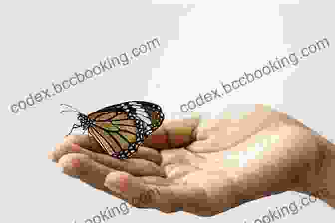 Luv Bug Lara Andrea Holding A Beautiful Butterfly Luv Bug Lara D Andrea