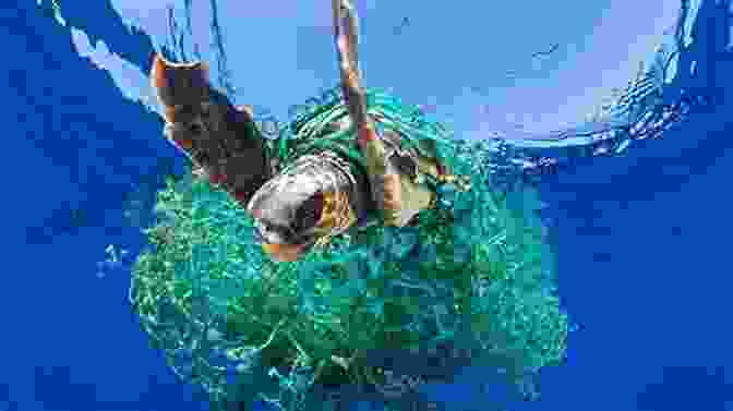 Sea Turtle Entangled In Plastic Debris, Highlighting Environmental Threats The Incredible Life Of The Sea Turtle: Fun Animal Ebooks For Adults Kids 7 And Up With Incredible Photos (Exploring Our Incredible World Series)