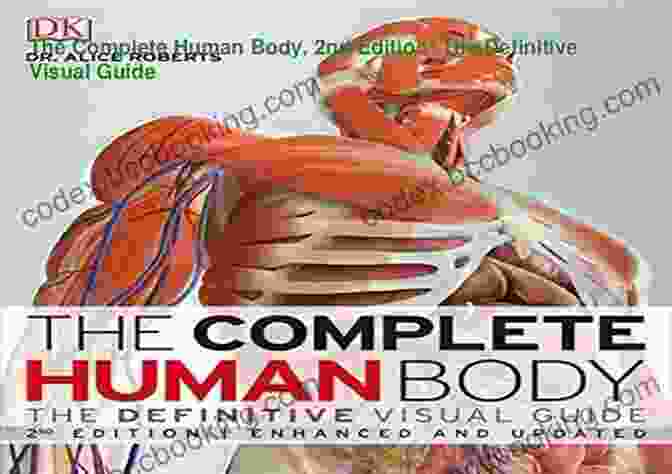 Second Edition Of The Human Body: Revised And Expanded Graphic Design: The New Basics: Second Edition Revised And Expanded