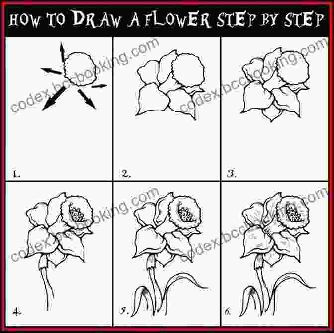 Step By Step Drawing Of A Flower Anyone Can Draw Unicorns: Easy Step By Step Drawing Tutorial For Kids Teens And Beginners How To Learn To Draw Unicorns 1 (Aspiring Artist S Guide 1 6)