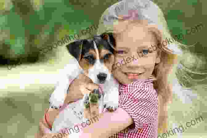 The Birthday Pet Book Cover: A Young Girl Holding A Magical Pet The Birthday Pet Ellen Javernick
