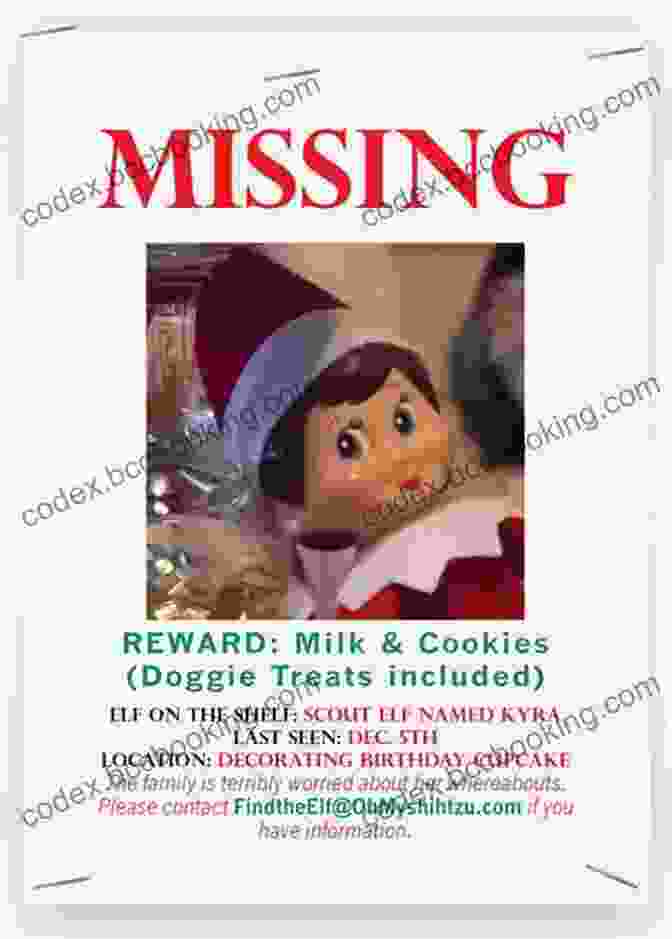 The Book Cover Of 'The Missing Elf' With Pip And Jingle Featured Prominently The Missing Elf Emily Grabham