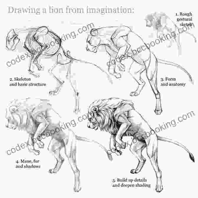 Understanding Animal Anatomy Is Crucial For Realistic Drawings Drawing Animals: Learn How To Draw Everything From Dogs Sharks And Dinosaurs To Cats Llamas And More (How To Draw Books)