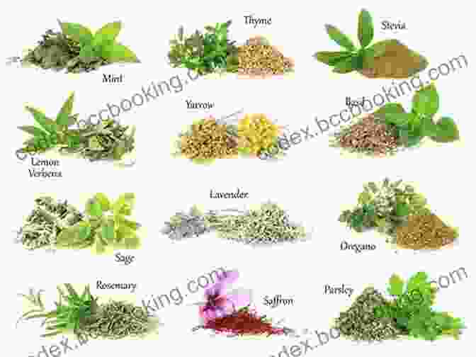 Variety Of Fresh Herbs Commonly Used In Cooking Ratio: The Simple Codes Behind The Craft Of Everyday Cooking