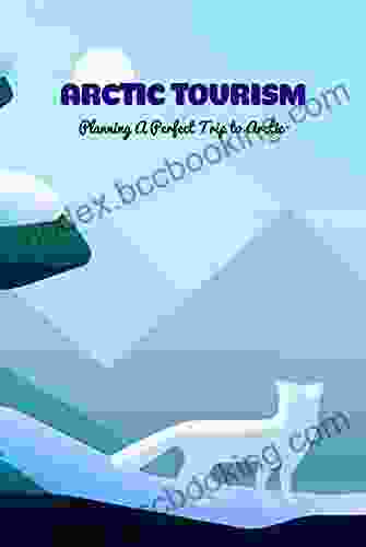 Arctic Tourism: Planning A Perfect Trip To Arctic
