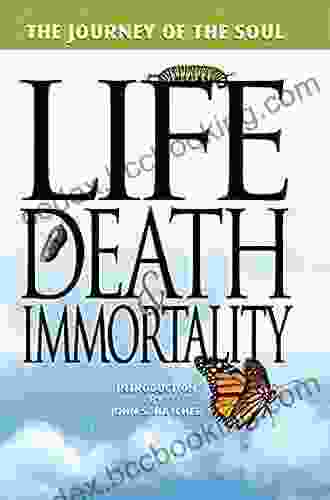 The Journey Of The Soul: Life Death And Immortality