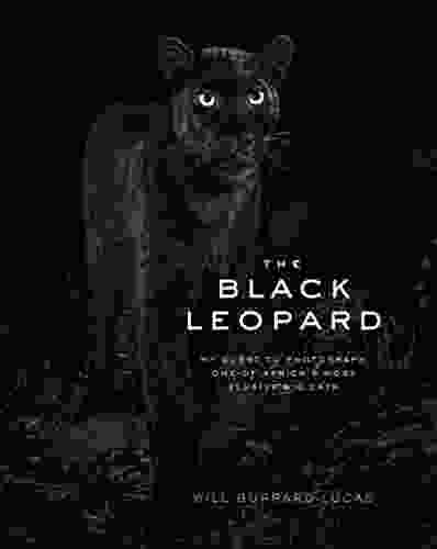 The Black Leopard: My Quest To Photograph One Of Africa S Most Elusive Big Cats