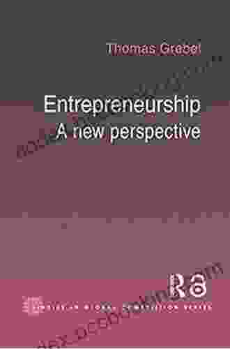 Entrepreneurship: A New Perspective (Routledge Studies In Global Competition 22)