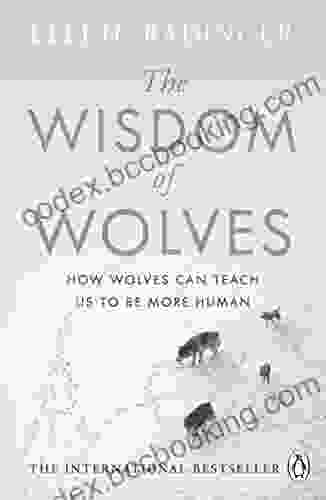 The Wisdom Of Wolves: How Wolves Can Teach Us To Be More Human